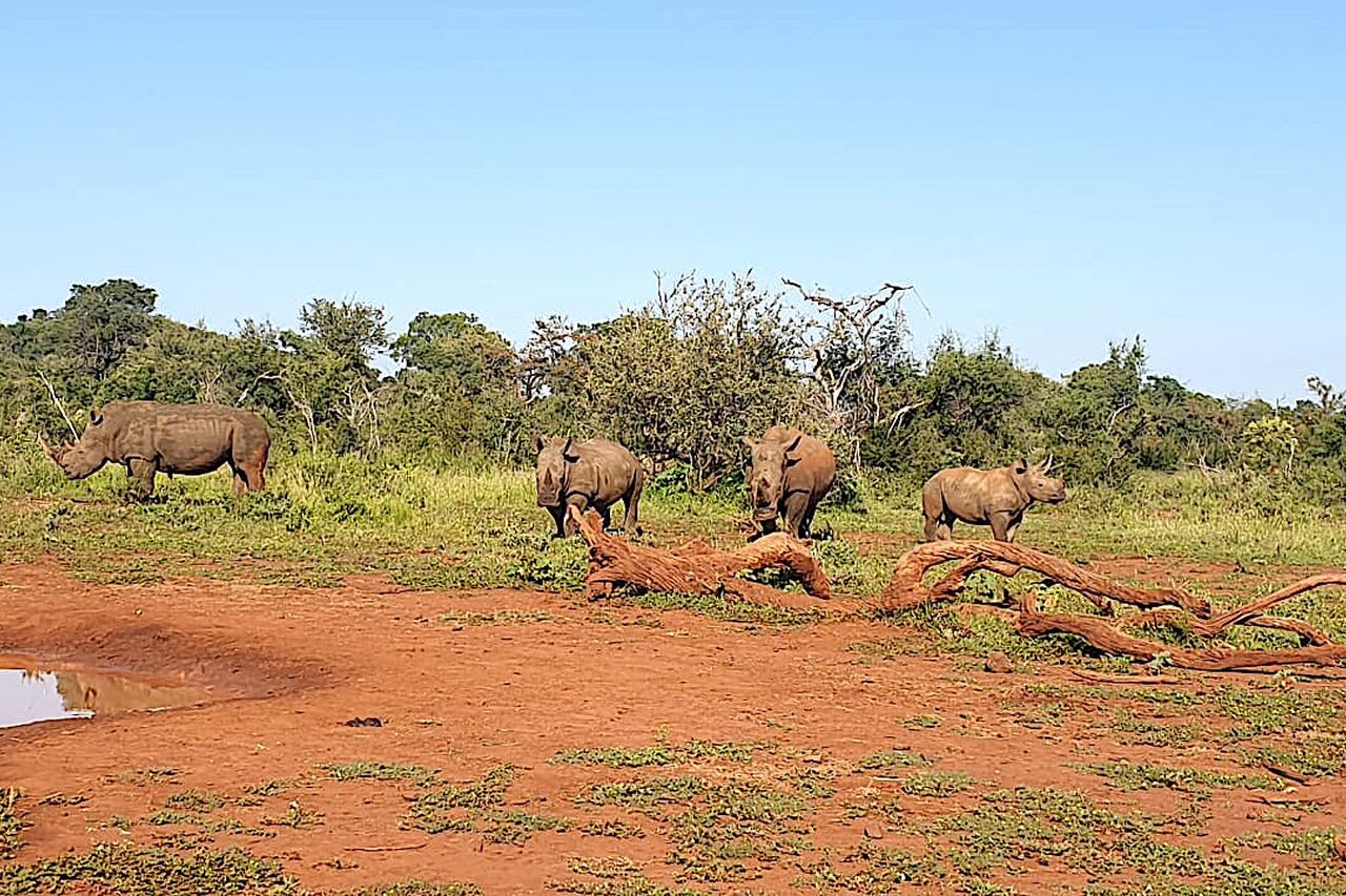 P2020 02 01 07 42 48