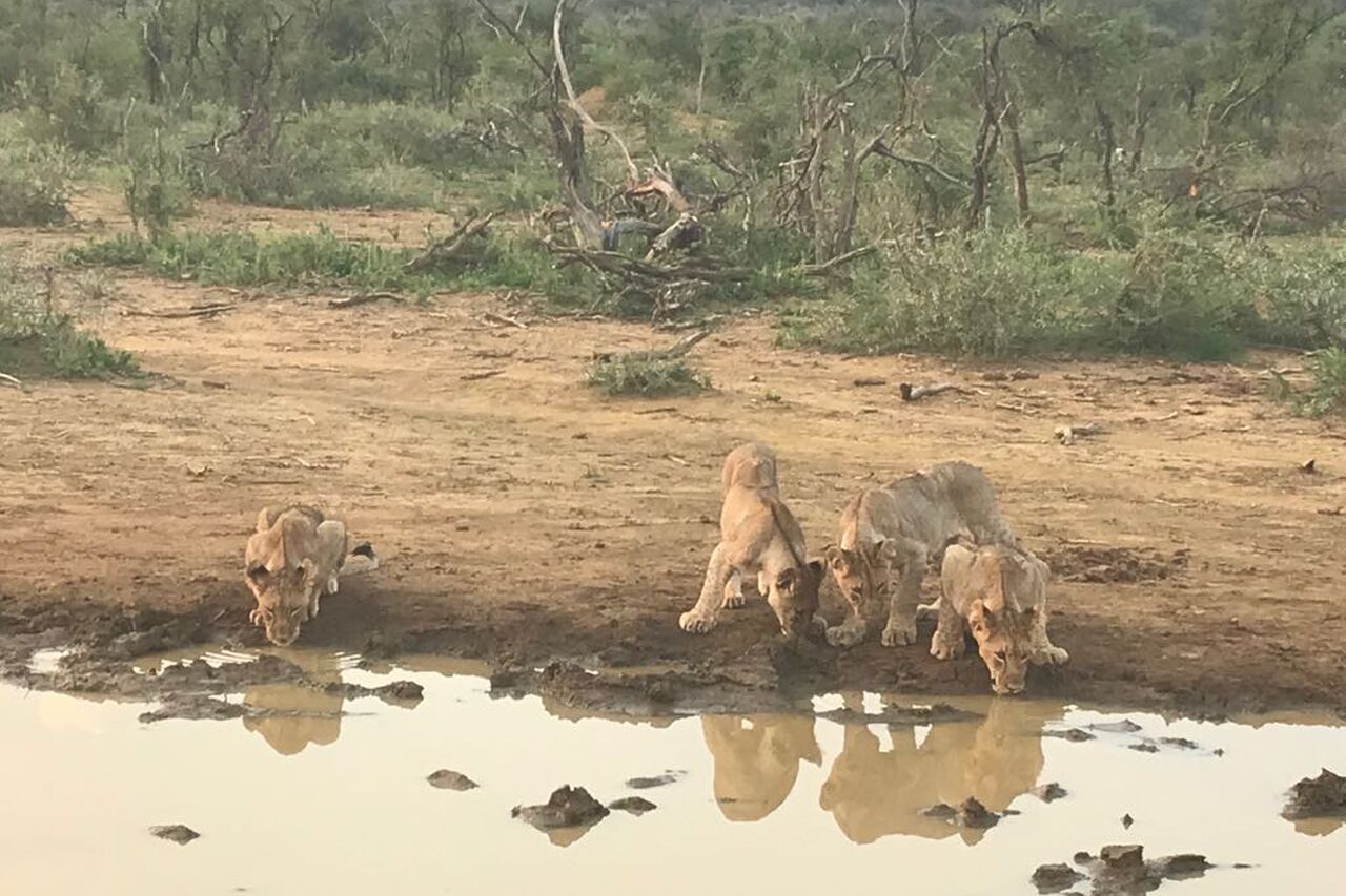 2018 02 06 PHOTO 00000047