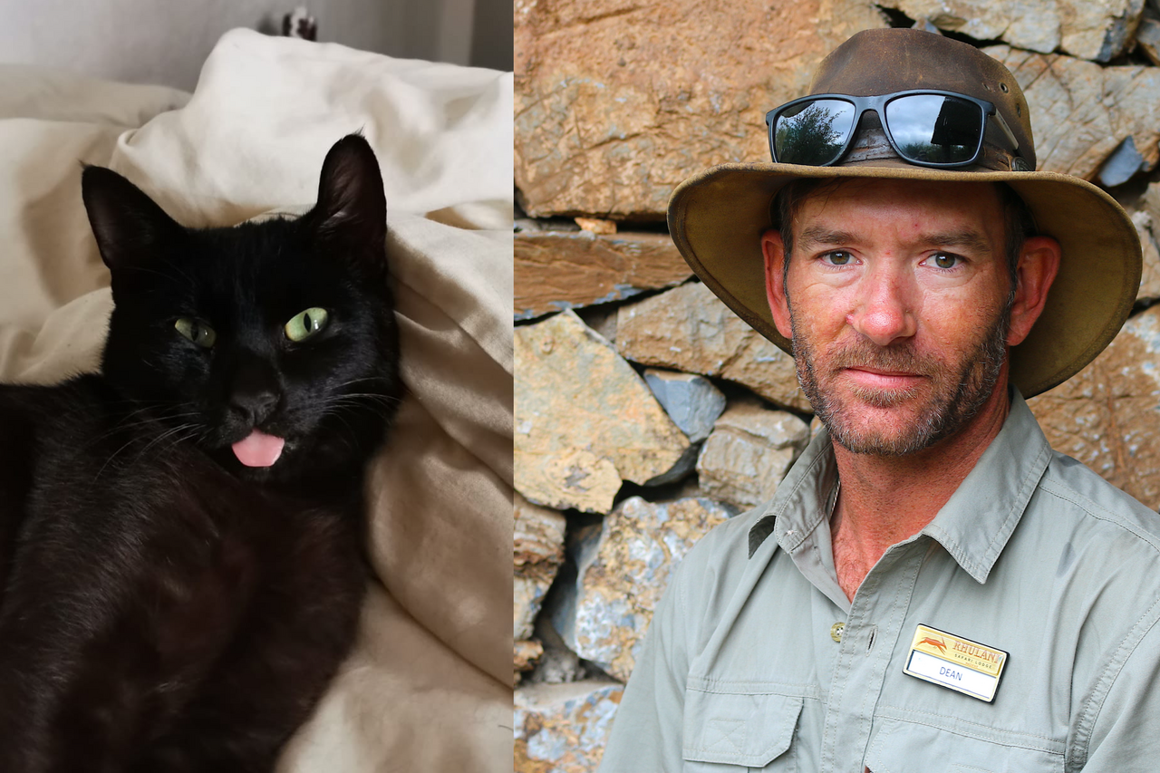 Screenshot 2022 12 30 at 16 02 41