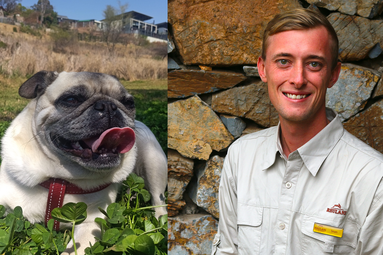 Screenshot 2022 12 30 at 16 11 27