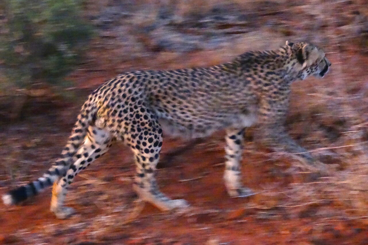 2015 08 07 14 18 37 1