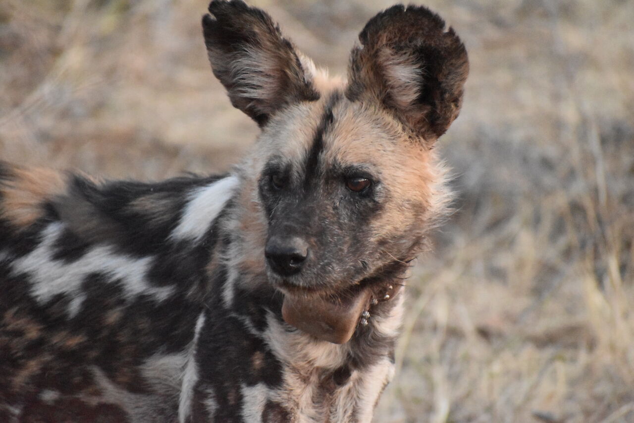 P2018 09 15 17 23 59