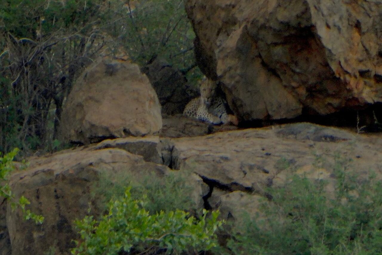 12508746 798890230256760 646213519502217641 n