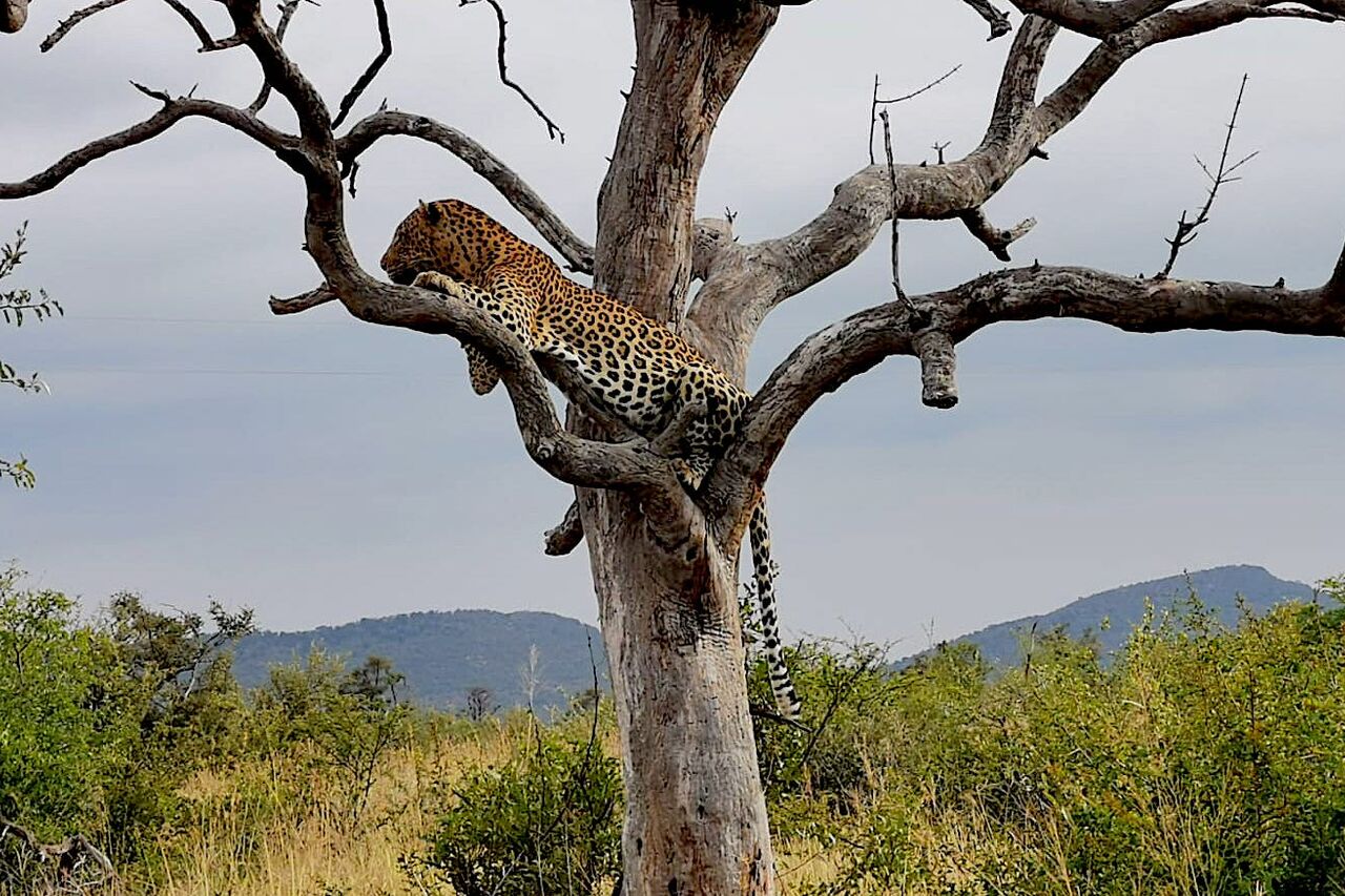 2020 03 03 08 41 34 1