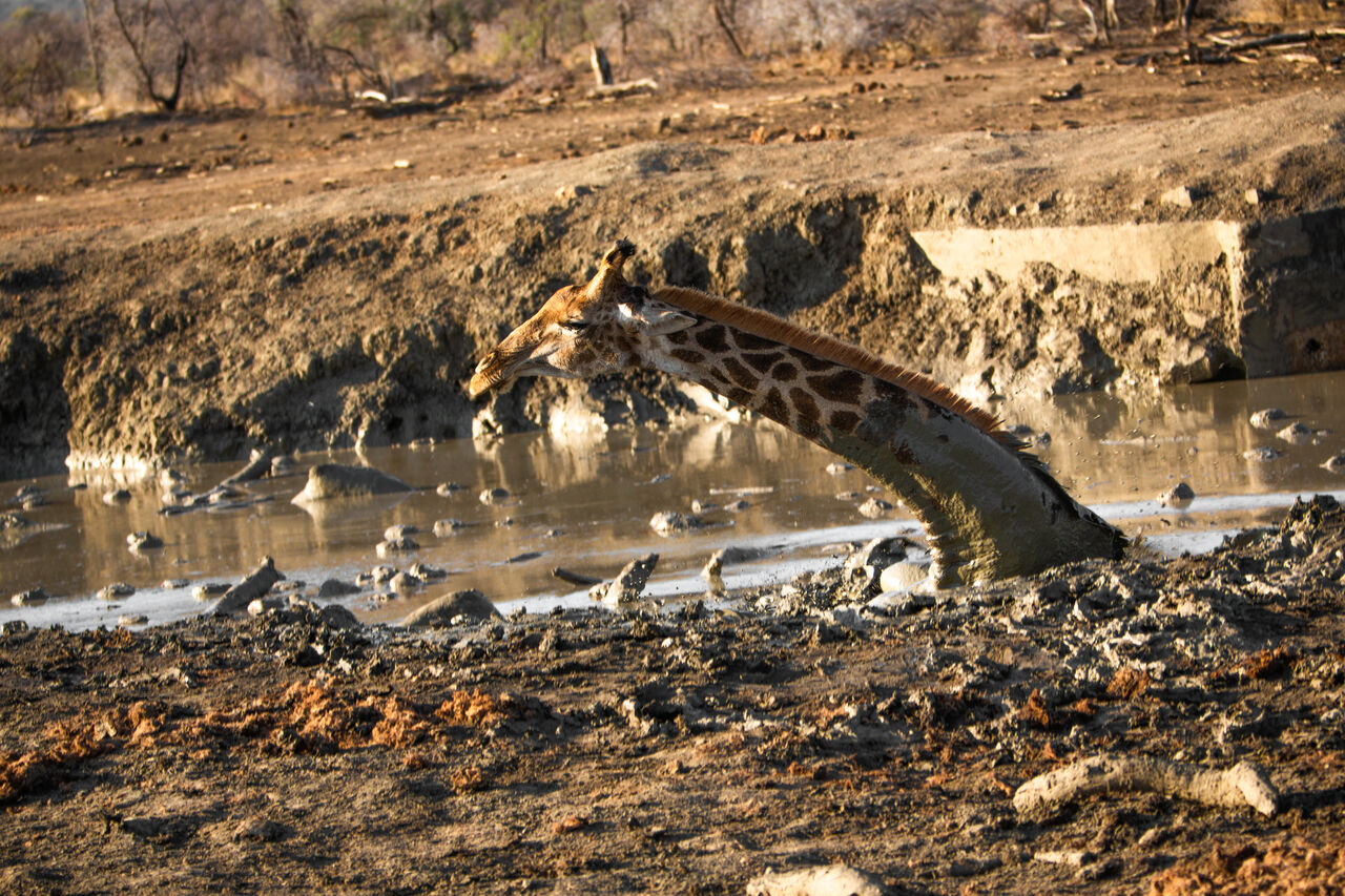 TB Photography 34177