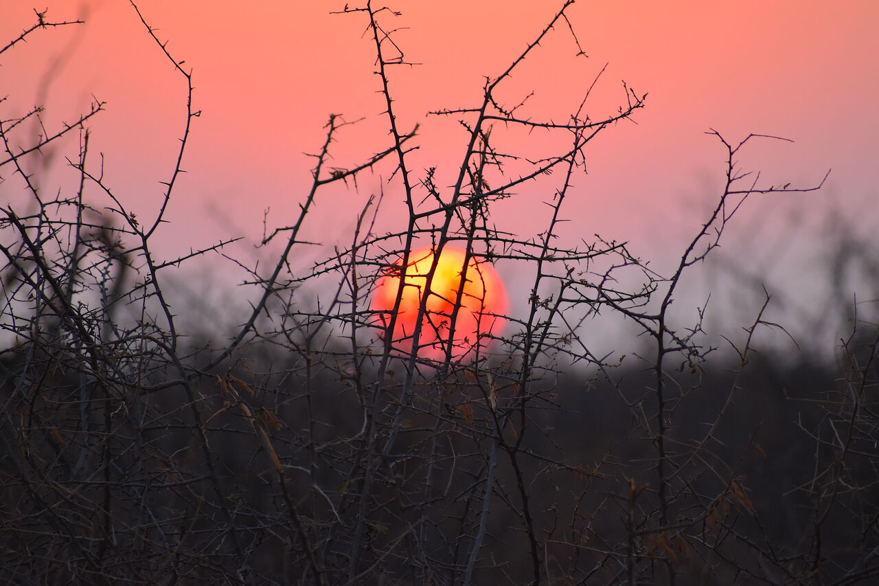 2019 08 18 05 44 42 1