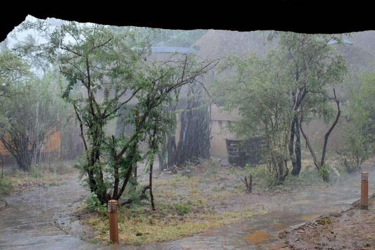 P 2017 11 25 11 33 46 1 750 428 70 s