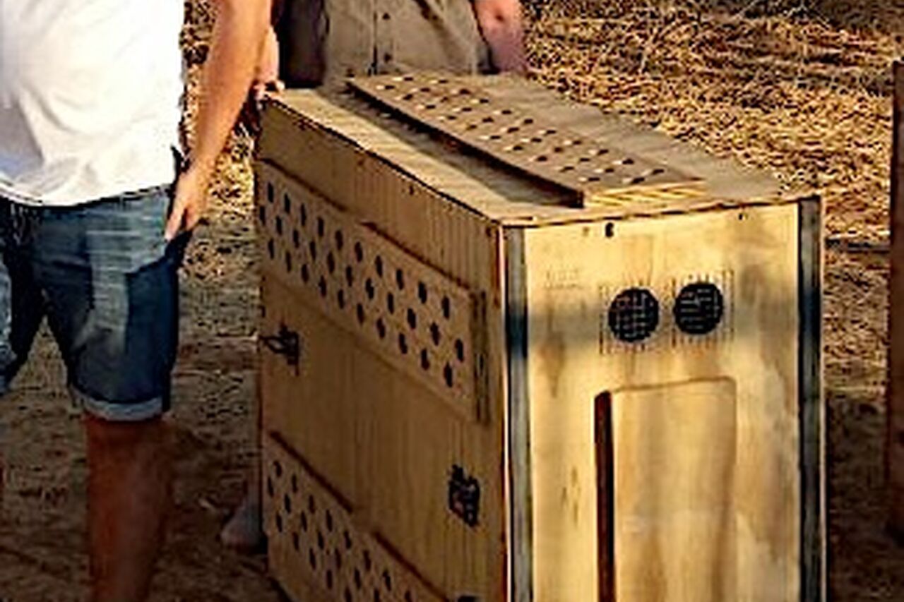 Datei 22 09 17 09 43 27 2