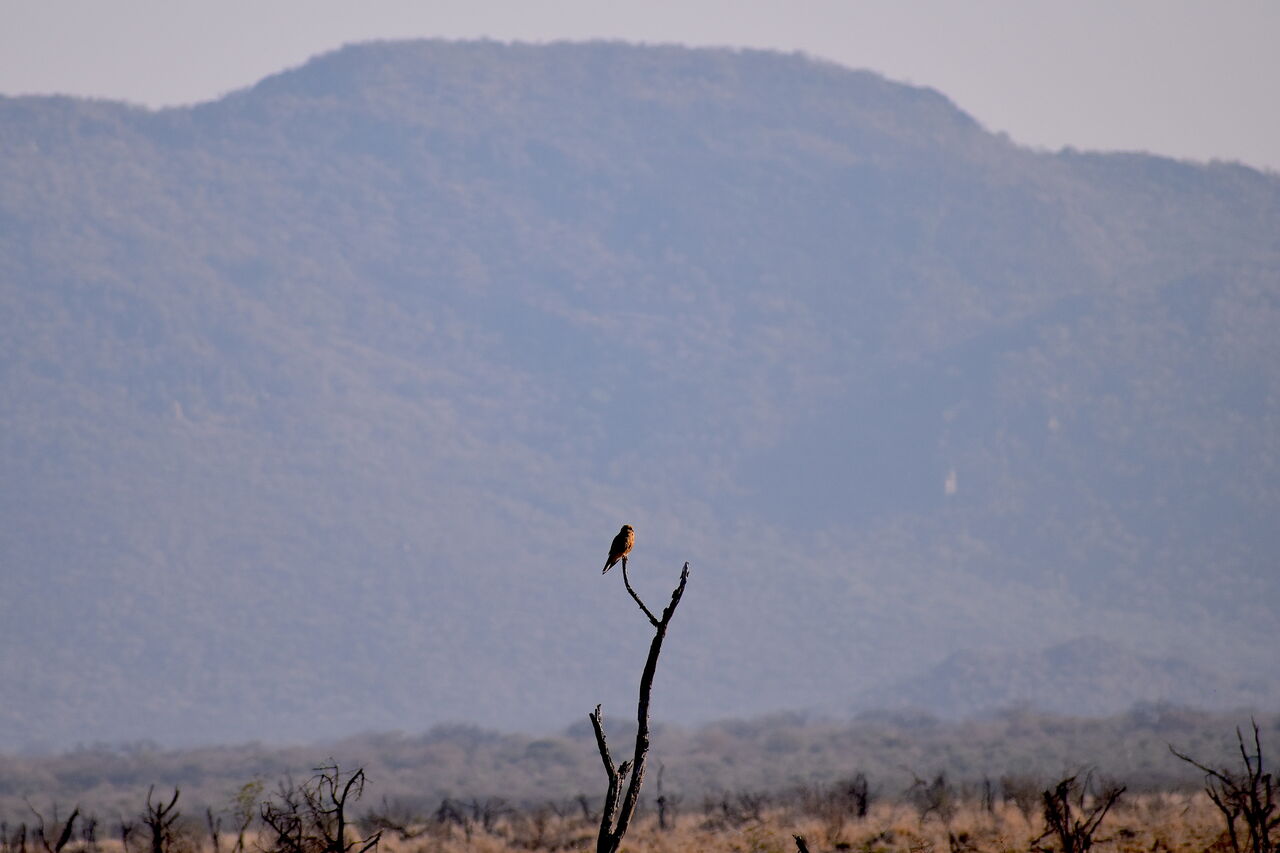 P2019 08 17 07 21 47