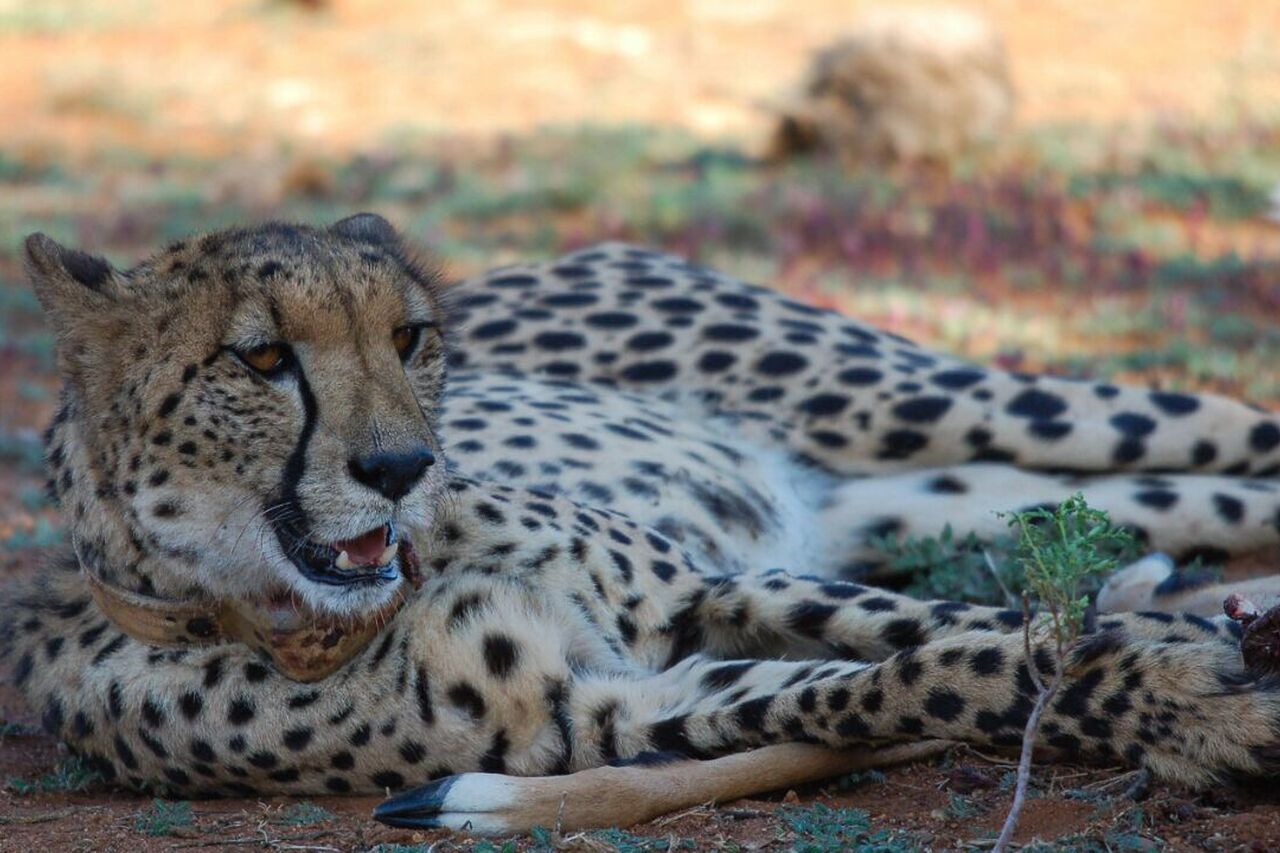 Foto 20 12 17 09 04 23