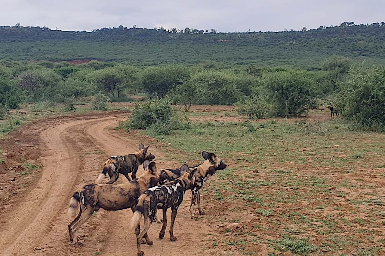 2020 01 03 12 48 01 1