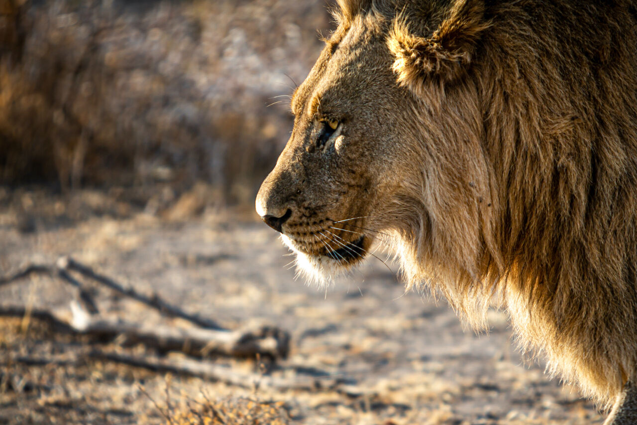 P TB Photography 34502