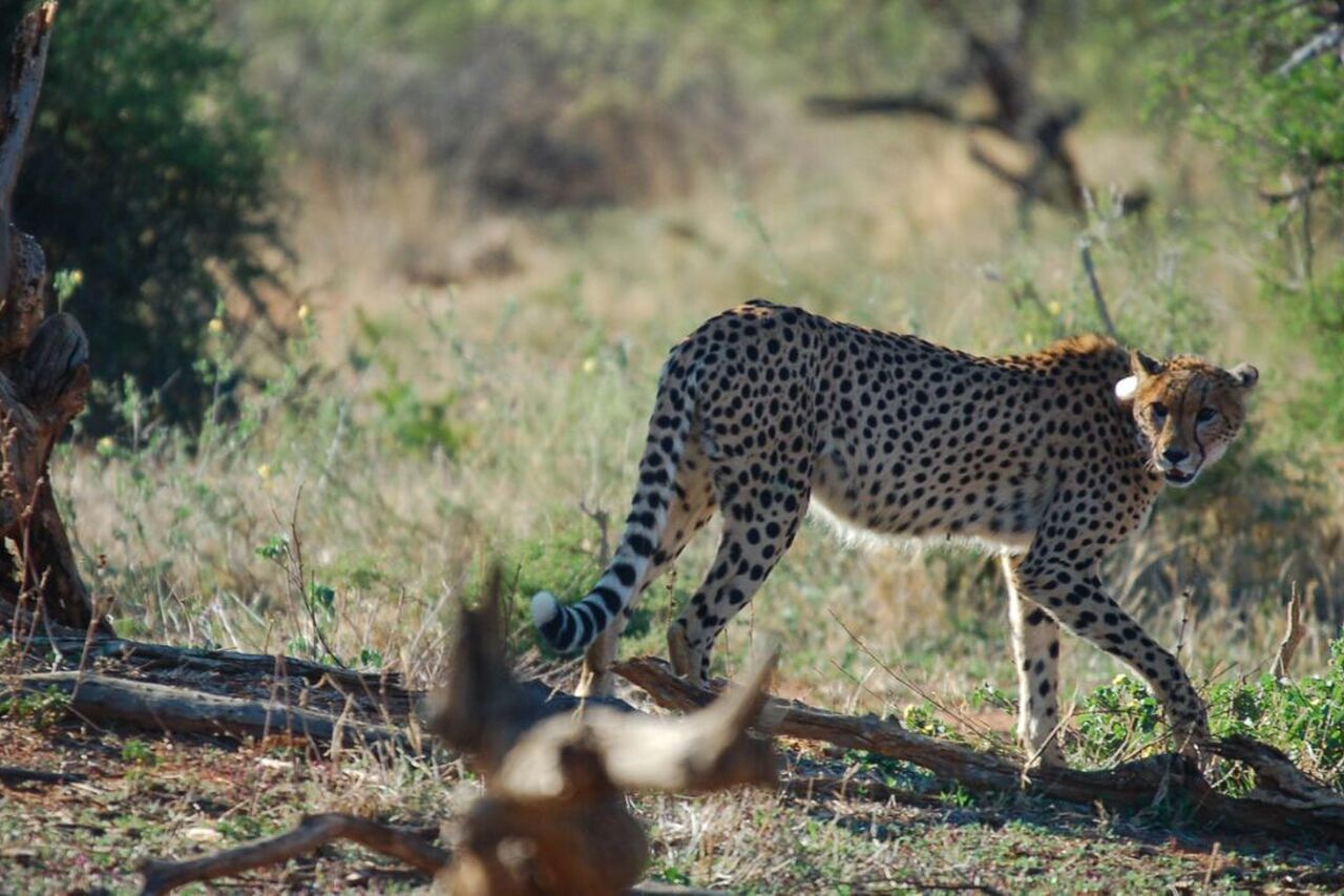 Foto 20 12 17 09 04 15