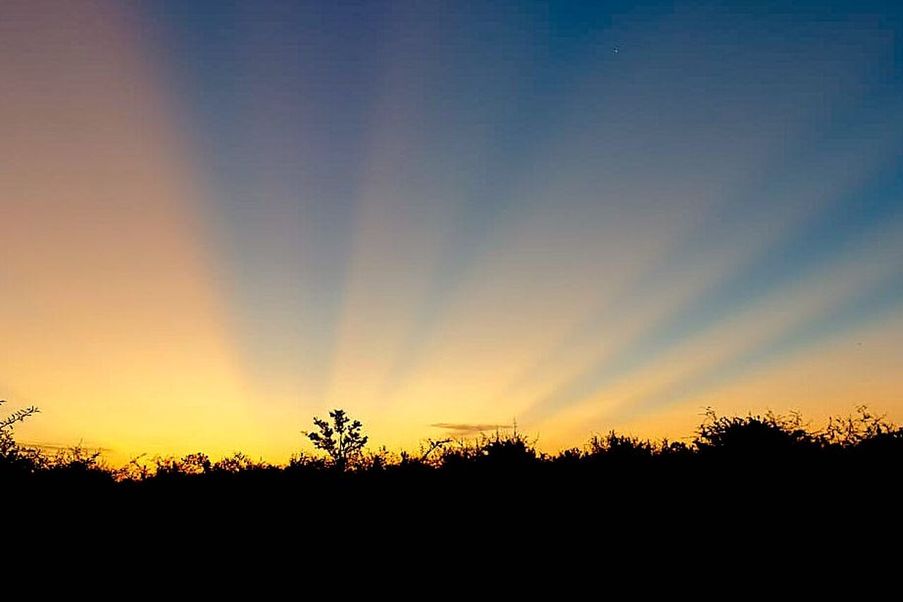 2020 01 03 12 48 11 1