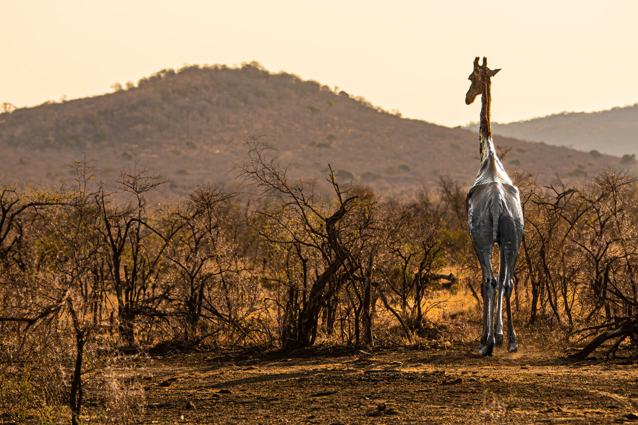 TB Photography 34221