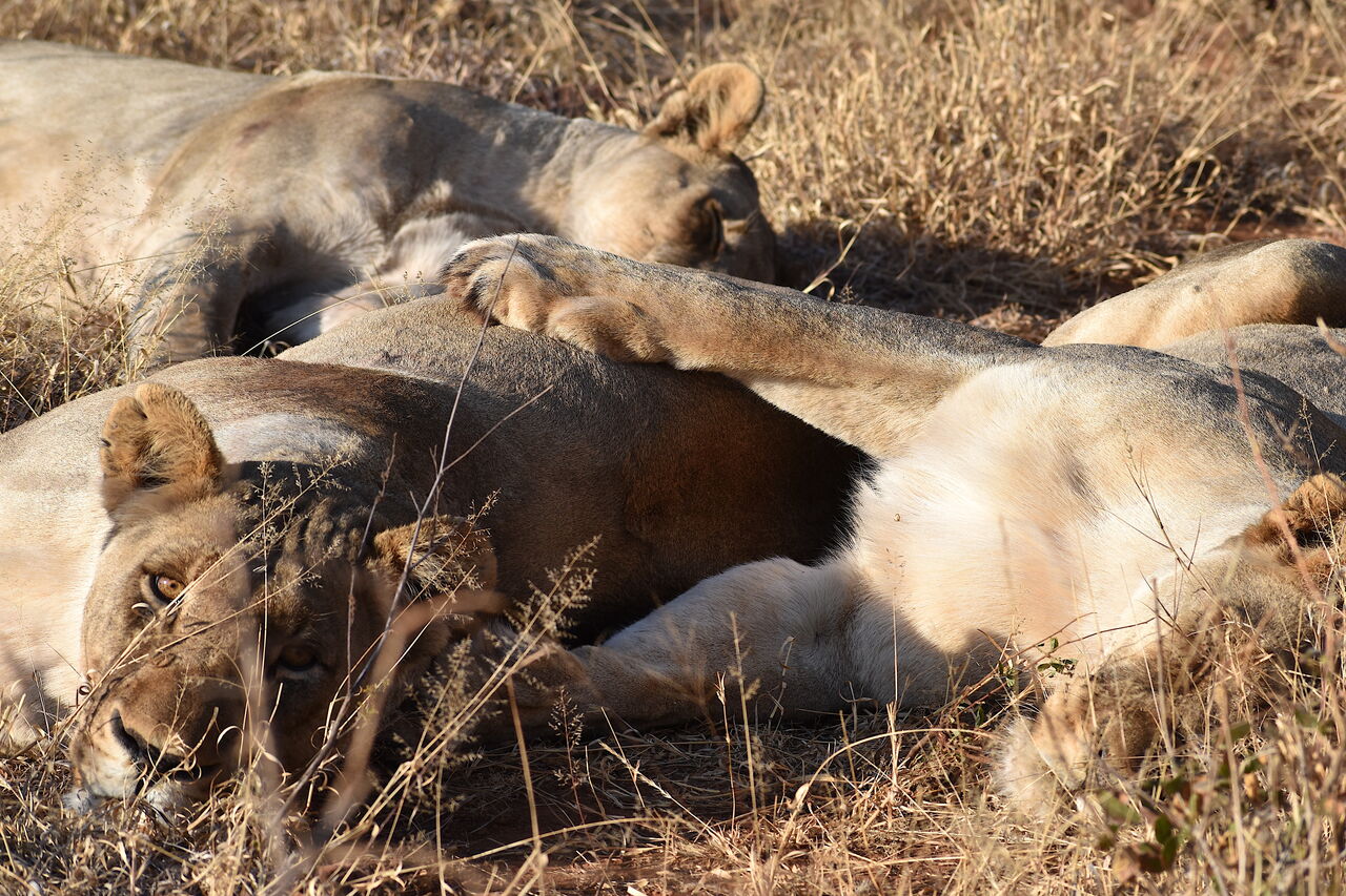 P2019 08 18 07 25 00