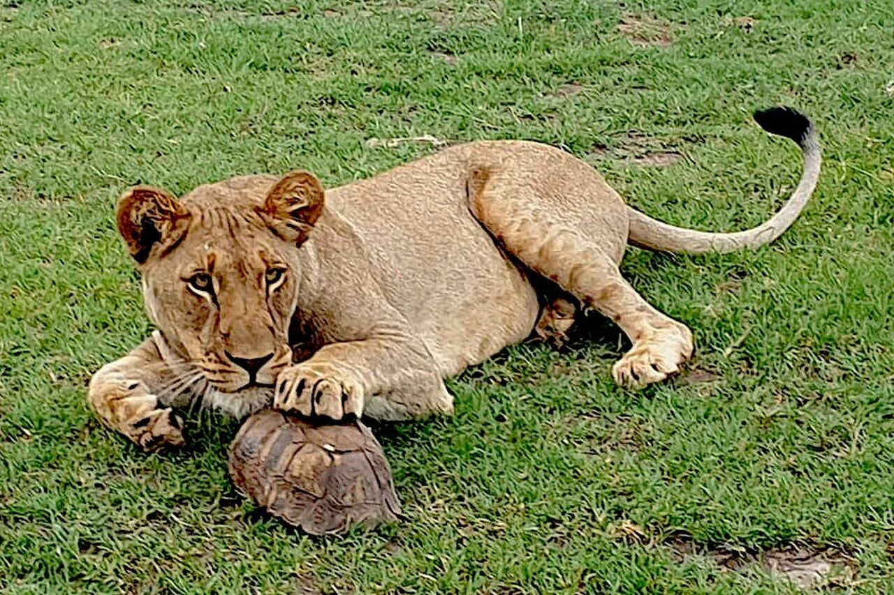 P2020 01 03 12 48 03 1