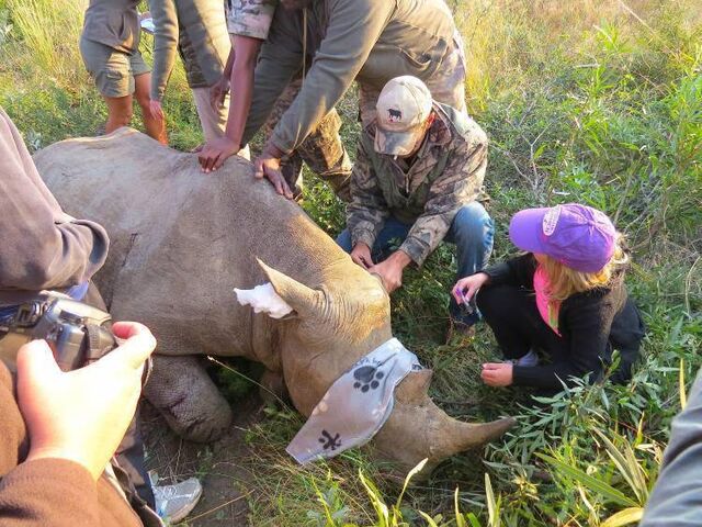 Conservation and Community